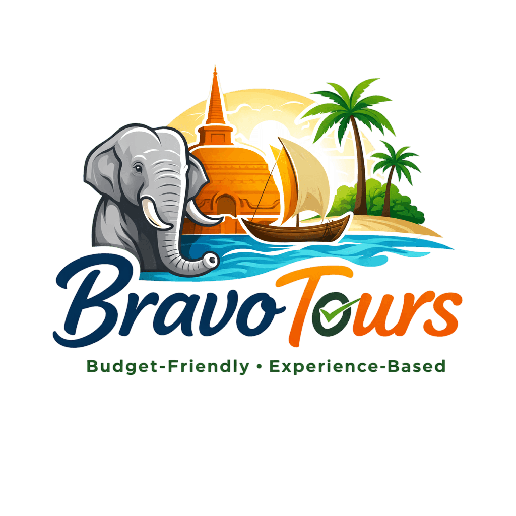 Bravo Tours Logo